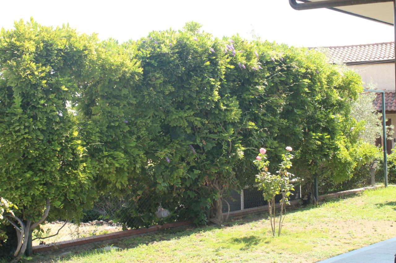 Villa Sicilia Apartment คาตาเนีย ภายนอก รูปภาพ