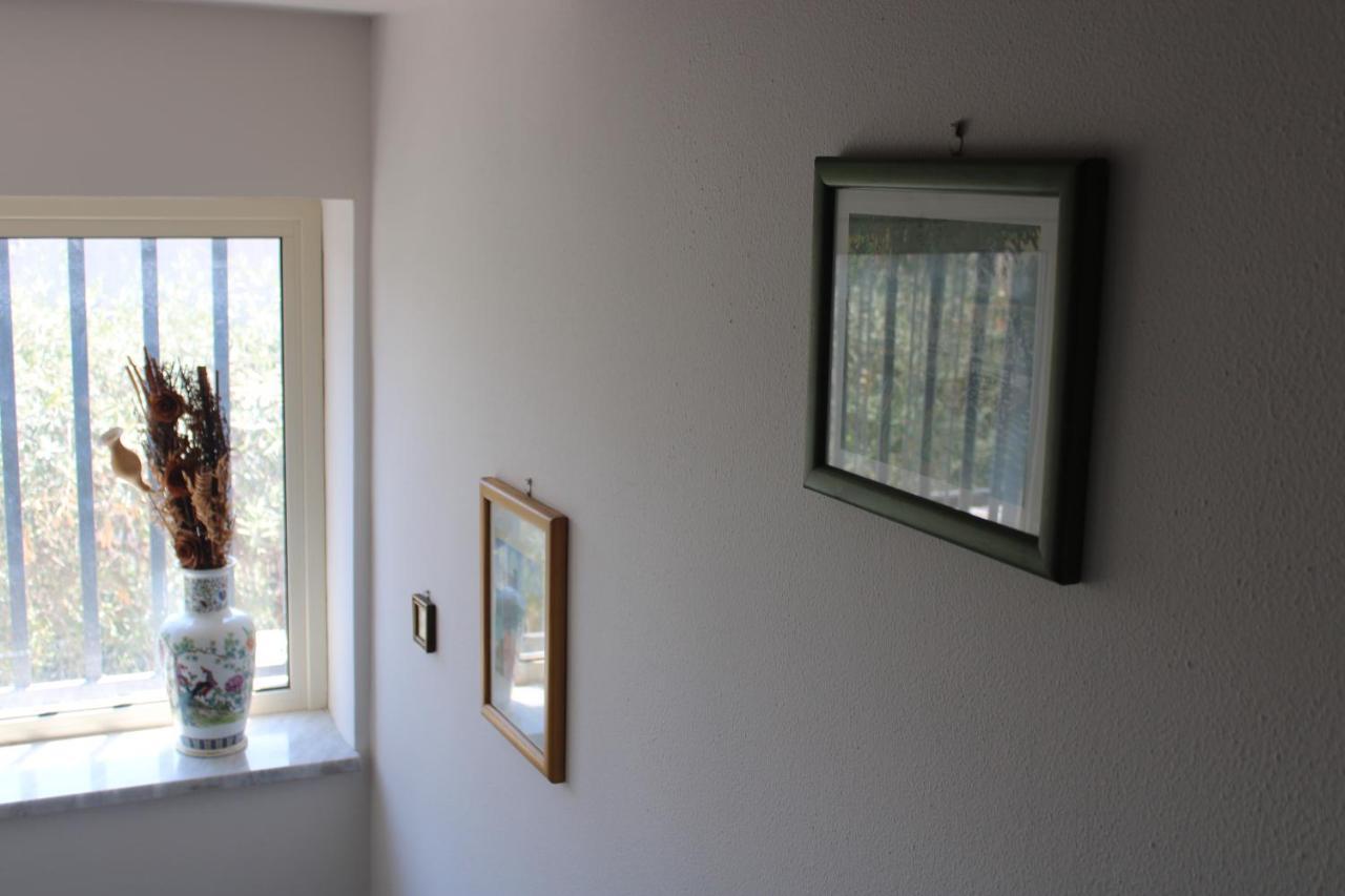 Villa Sicilia Apartment คาตาเนีย ภายนอก รูปภาพ