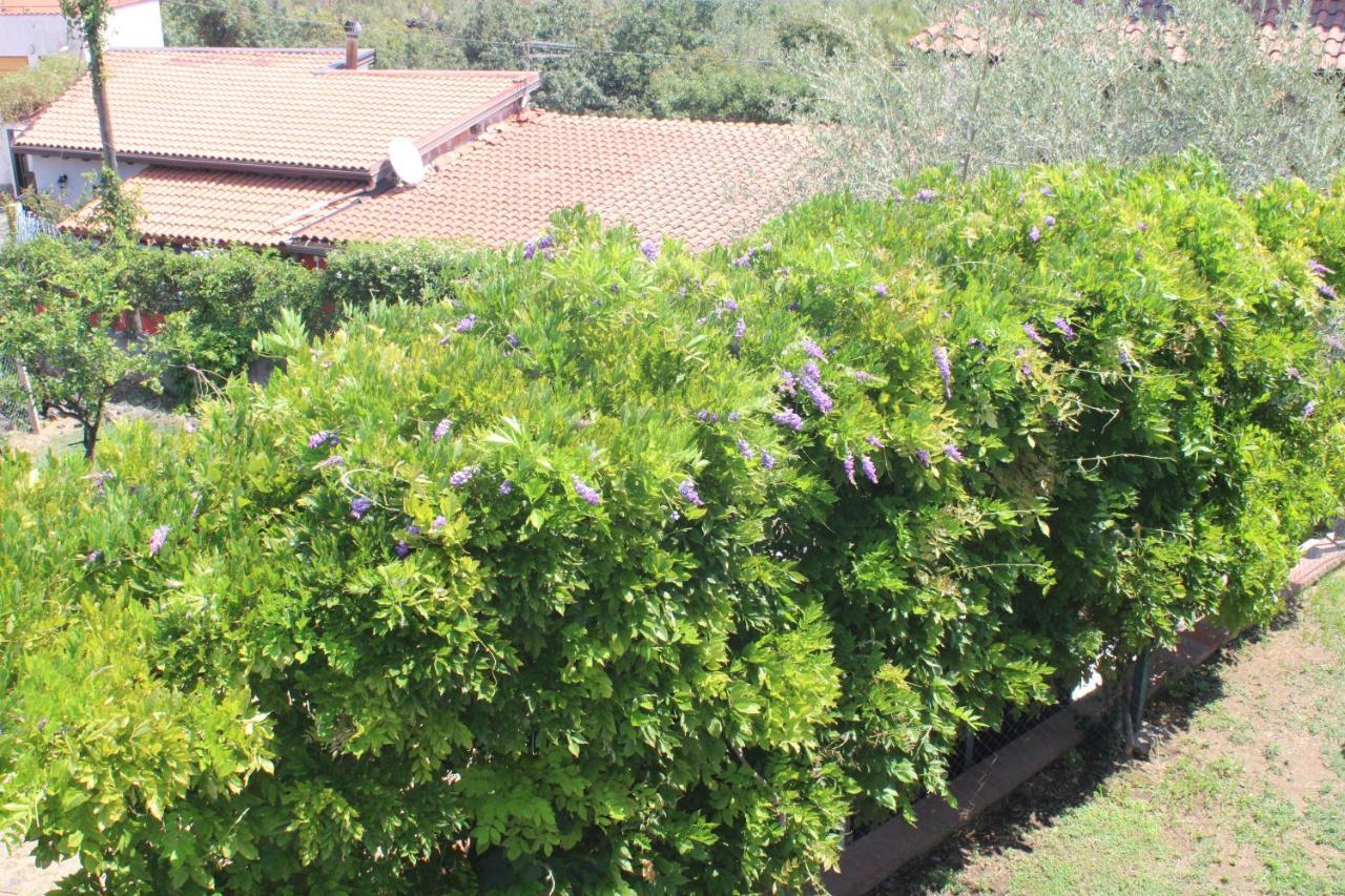Villa Sicilia Apartment คาตาเนีย ภายนอก รูปภาพ